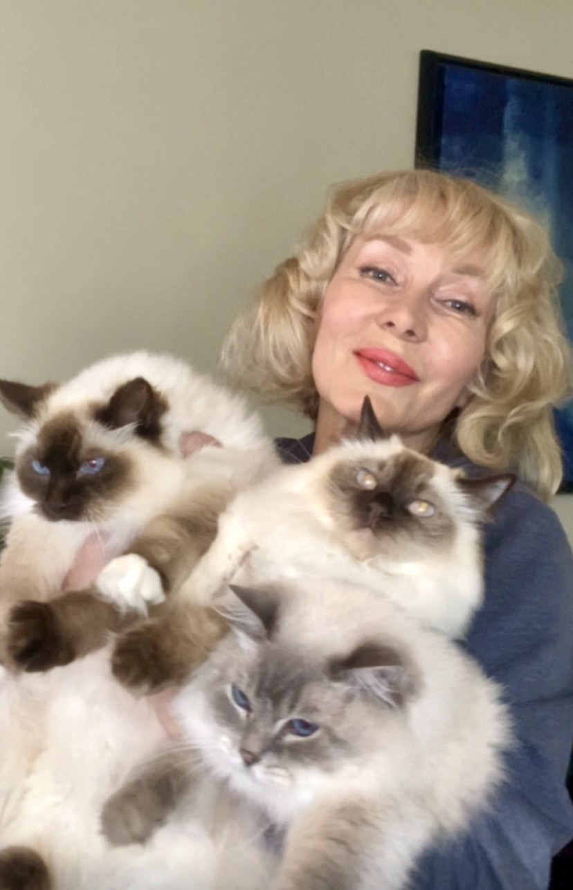 Elena holding three of her Ragdoll cats